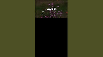 آيات من سورة يوسف ستجعل عينيك تدمع 😢#القرآن_الكريم #تلاوة #خشوع #سورة_يوسف
