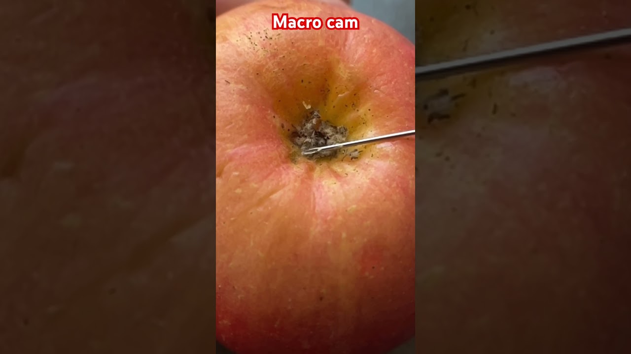 Яблуко мікро 100x / Apple macro cam 