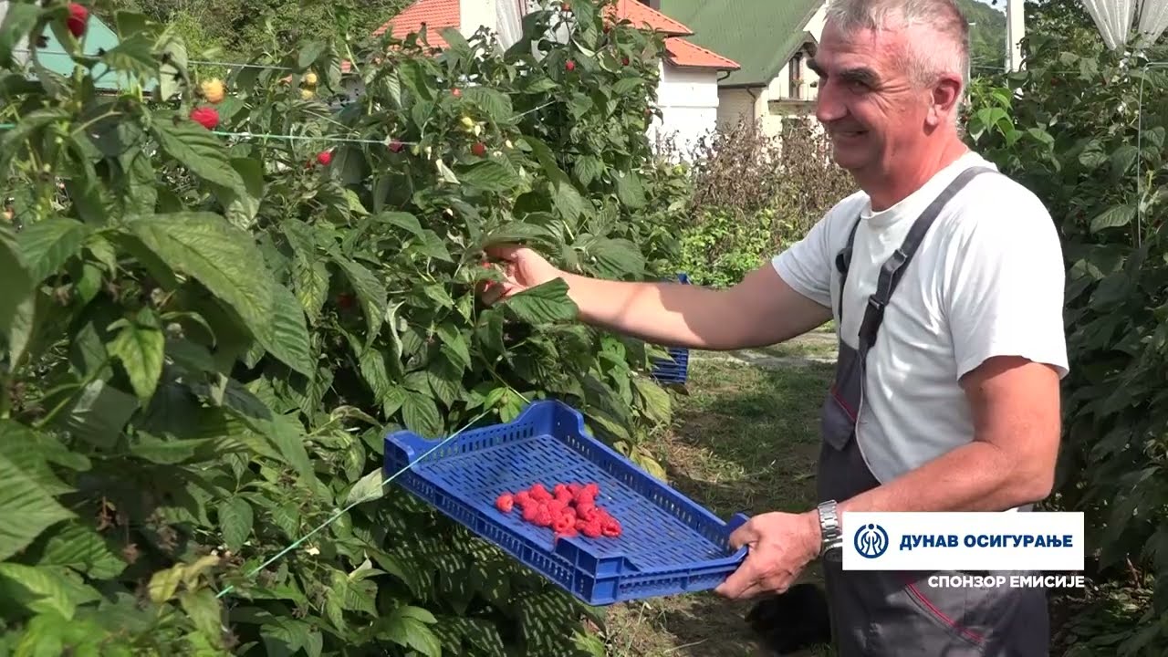 Naša priča ep. 420 14.09.2023. Goran Savić, Šume, Ivanjica, maline, enrosadira