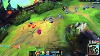 Just teemo things.