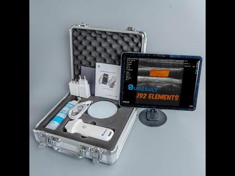 Periorbital and jaw soft tissue · B-mode · L20 · Linear probe scan preview