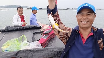 AE cần thủ mới ra lò Móng Cái , hôm nay đi núi tổ chim kiếm tí mồi ,  làm nồi lẩu cá lạp xạp