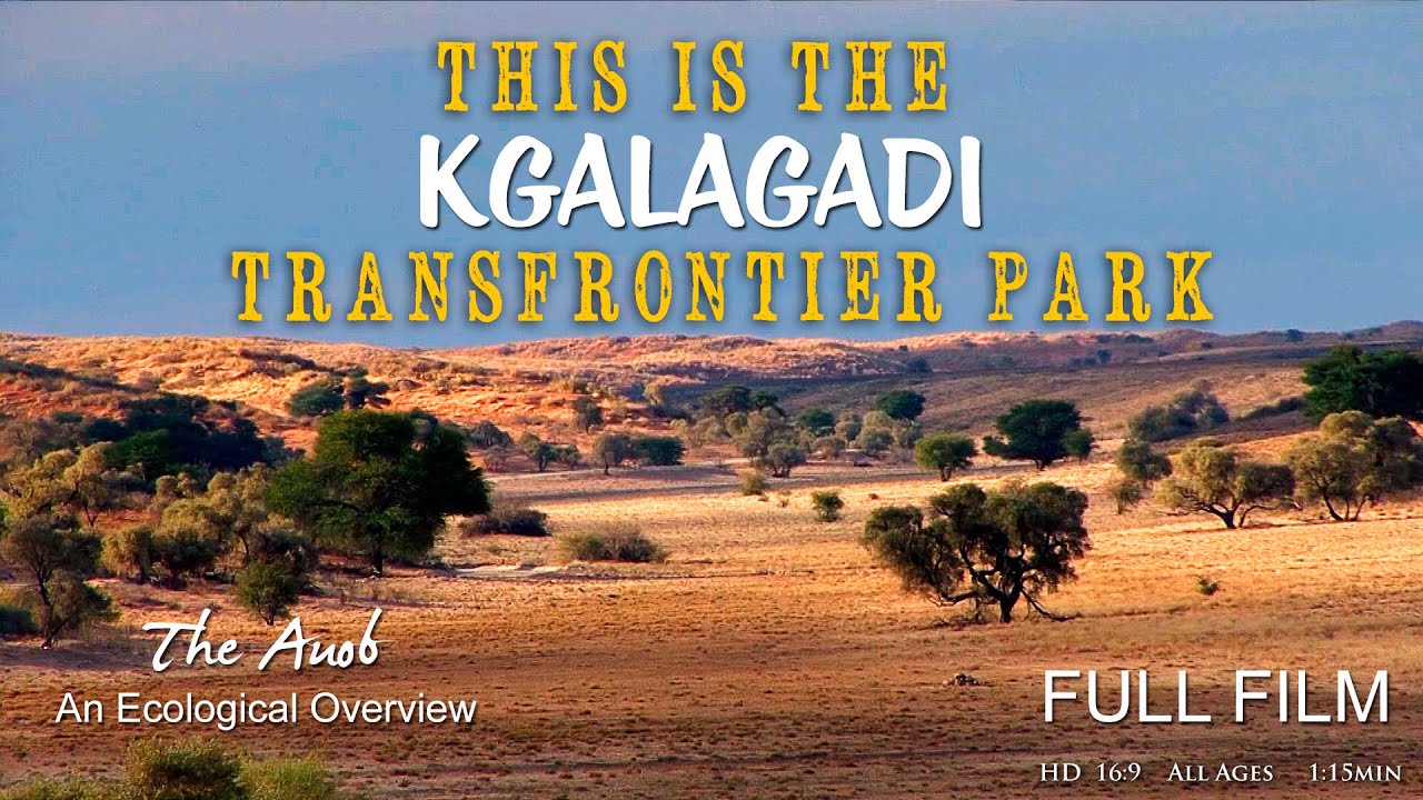 This is the Kgalagadi Transfrontier Park FILM - The Auob River - Kgalagadi Photography