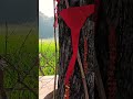 Our Village #villagelife #village #trending #love #new #vlog