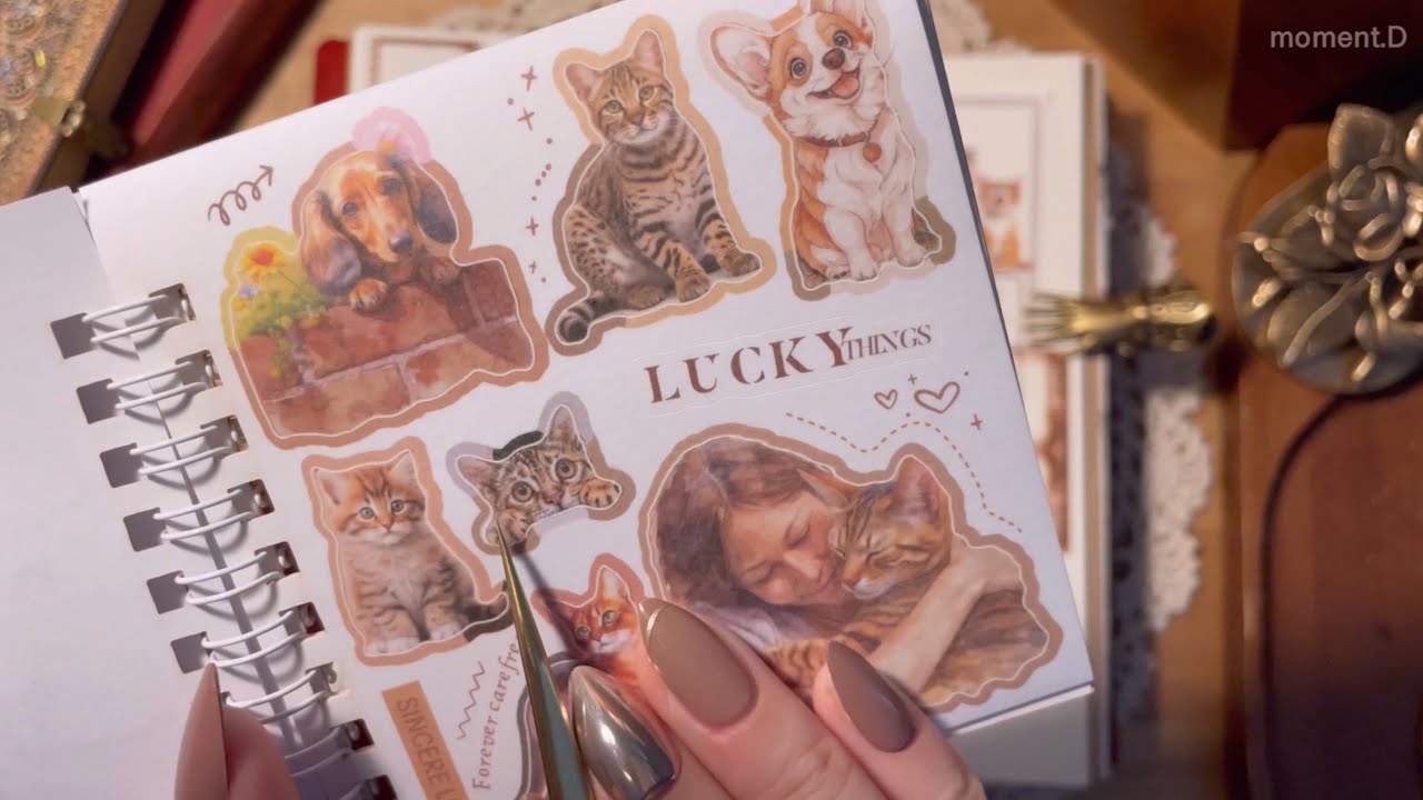 ASMR 우리 집으로 가자🤎🐾 Art Journaling #scrapbooking #papertherapy #コラージュ #collage 다꾸