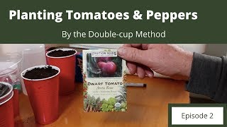 Planting Tomatoes & Peppers by the Double-Cup Method
