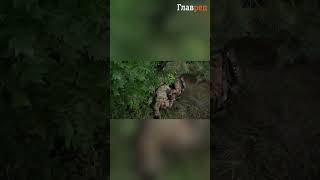 Воїни ЗСУ пильнують наш спокій