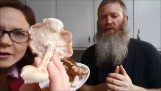 Shiitake Mushroom Kit Update And Harvest