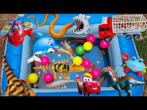 Video Thỏ Vlog Đi Bắt Cá, Review Các Món Đồ Chơi Mới, Bể Cá... - youtube