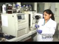 Cromatografía de líquidos de alta eficiencia