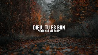 Video thumbnail of "Dieu, tu es bon (Israel Houghton & New Breed) // Elisham Heman"