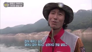 생활의 발견 - 점령군 가마우지 전국은 몸살 중. 20160622