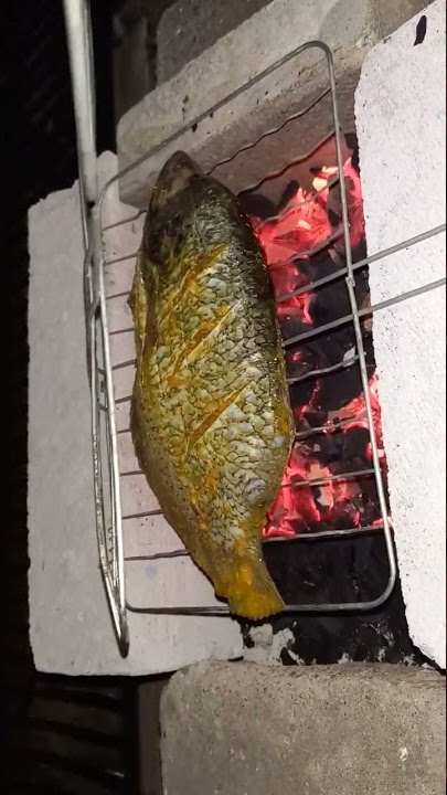 GURAME BAKAR PEDAS MANIS