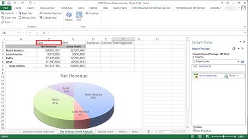 Changing Member Selections in Smart View Queries with Report Package Variables