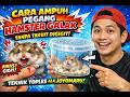 Cara Ampuh Pegang Hamster Galak Tanpa Takut Digigit: Teknik Toples ala Joyomaru!