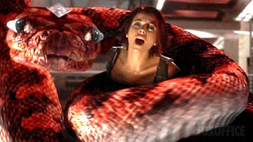 In the Boa Constrictor