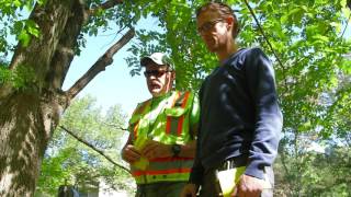 Water Science Careers: Watershed Management