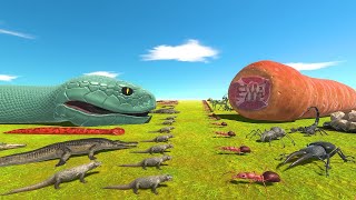 Giant Black Mamba or Giant Worm | Who is the Boss? - Animal Revolt Battle Simulator