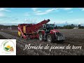 Ref:zVE4lHDaCro Arrachage de pomme de terre avec l eta marquaille en full massey 2k23