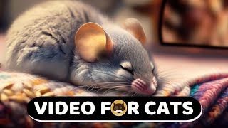 CAT TV - Cozy Mouse Sleeping by the Fireplace. Relaxing Video for Cats | 8 Hours. by TV BINI 8,516 views 10 months ago 8 hours, 1 minute
