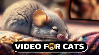 CAT TV - Cozy Mouse Sleeping by the Fireplace. Relaxing Video for Cats | 8 Hours.