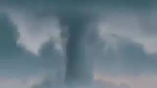 liveleak com Nature is brutal