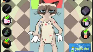 Grumpy Cat Injured (Сердитый кот поранился) Grumpy Cat Injured (Сердитый кот поранился)