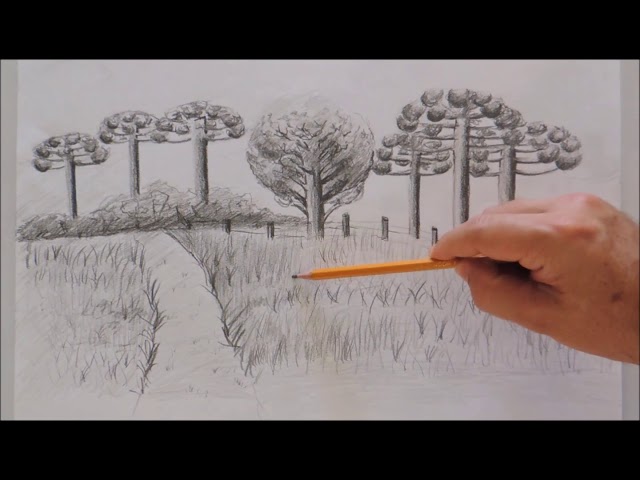 Como Desenhar Paisagem e Vegetação - Croqui Aula THE PIASSON 