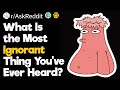 What Is The Most Ignorant Thing You&#39;ve Ever Heard?