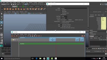 maya trax editor full class
