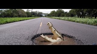 САМЫЕ ОПАСНЫЕ ДОРОГИ МИРА.ПОДБОРКА САМЫХ ОПАСНЫХ ДОРОГ В МИРЕ.DANGEROUS ROADS IN THE WORLD.