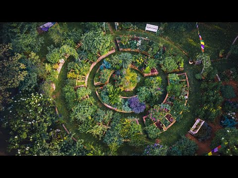 Landscape Designer Grows 250+ Plants for HEALING | Stunningly BEAUTIFUL GARDEN