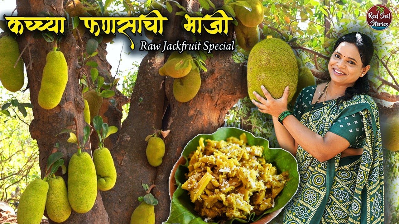 Traditional Jackfruit Recipes | फणसाची भाजी | तळलेले गरे | Village Cooking | Red Soil Stories
