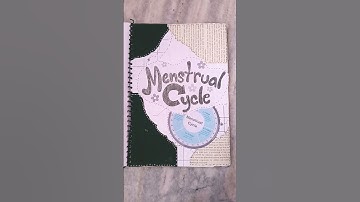 biology project file class 12th on menstrual cycle✨