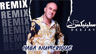 Cheb Radouane - neti haba numerique (DJ Slinix Remix)