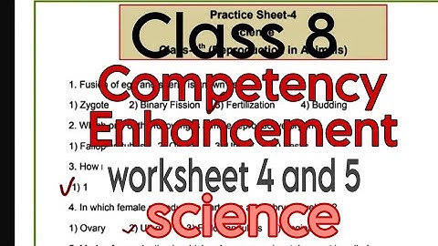 Full Solved science Practice Sheet-4 and 5/Class-8/Competency Enhancement plan/PSEB/@PSEBEDUCATE