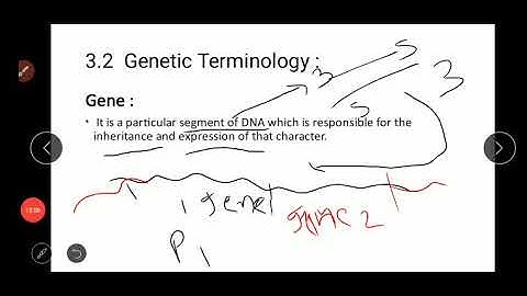 3.2 Genetic terminology || 3 Inheritance and Variation || 12th Biology || Maharashtra Board