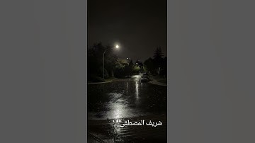 شريف المصطفى { سورة النور } راحة نفسية ستوريات حالات واتس اب