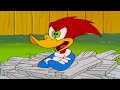 Meany Wants To Sell Woody S Home Woody Woodpecker 1 Hour Compilation 