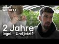 Legal kiffen in Deutschland? Was das Cannabisgesetz wirklich verändert hat | RTL Aktuell