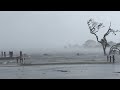 Hurricane Florence Newport, NC