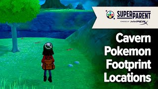 Pokemon Sword and Pokemon Shield - Cavern Pokemon Footprint Locations (The Crown Tundra)