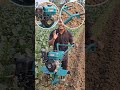 Electric mini tiller से खेती अब और आसान 💪🌿कम मेहनत, ज्यादा काम — smart farmer choice 👏