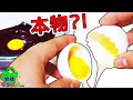 スライムクッキングで手作りガトーショコラを作ってみた！液体モンスター