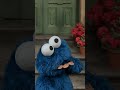 Baby Cookie Snack Time Sesamestreet