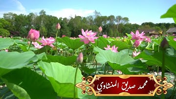 سورة المدثر ~ بدون اعلانات لفضيلة الشيخ محمد صديق المنشاوى رحمة الله عليه