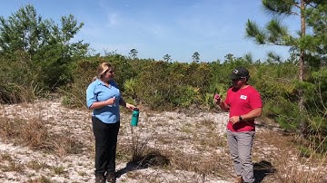 Introduction to Wildlife Monitoring