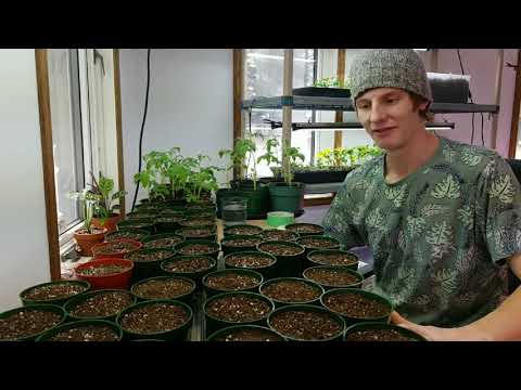 I hope you will enjoy my video that offers encouragement for sticking with your journal as well as a. 