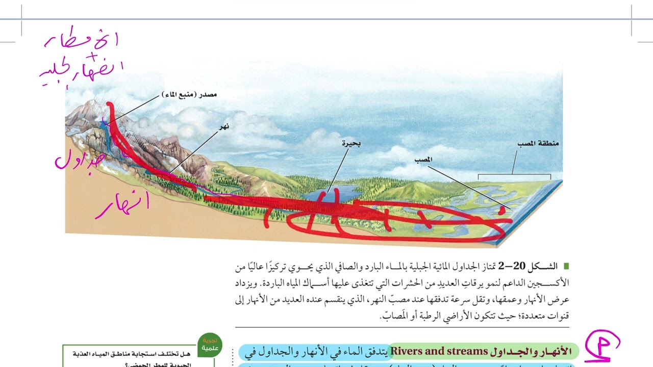 الأنظمة البيئية المائية ( علم البيئة 1446 )