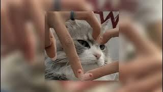 Download lagu yk - cean jr. (sped up)